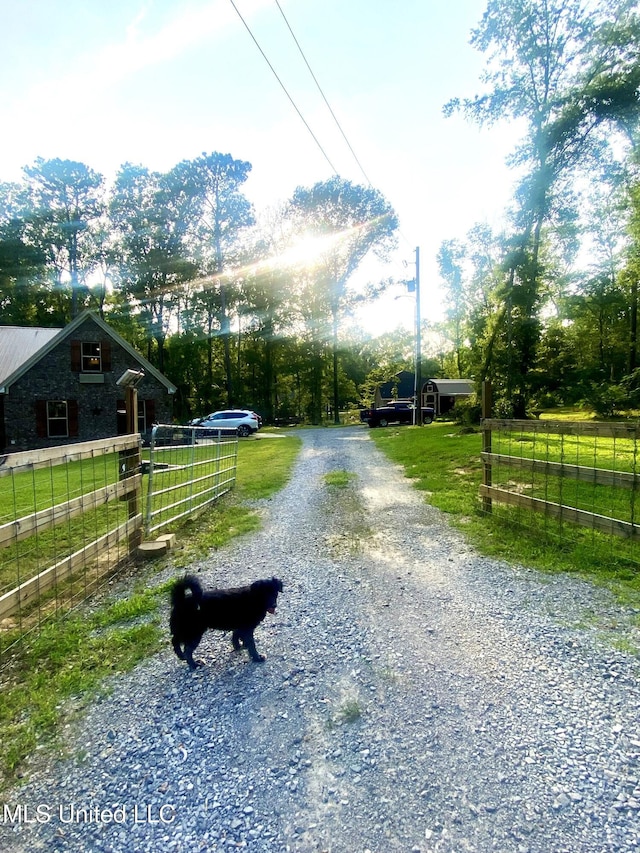 115 Pinedale Rd, Terry, MS 39170 - view of dirt / gravel driveway with a rural view