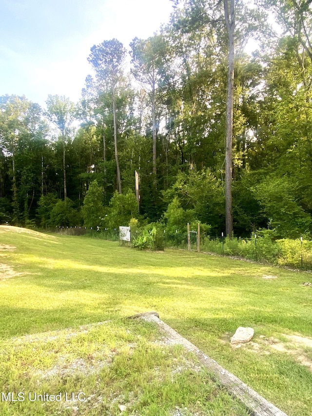 115 Pinedale Rd, Terry, MS 39170 - view of green lawn