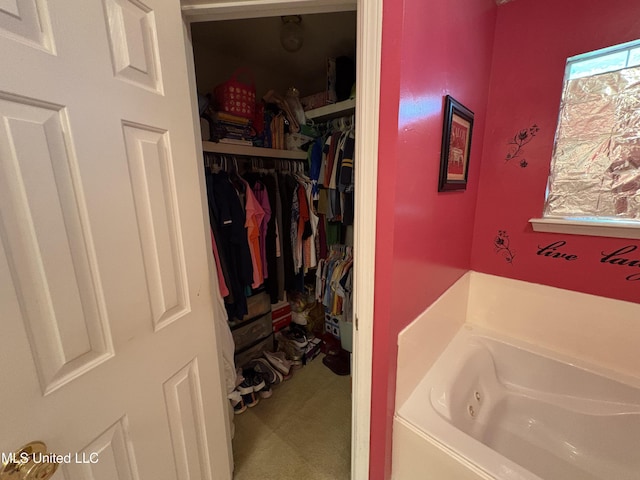 9831 Crooked Creek Blvd, Byram, MS 39272 - full bath with a bath and a spacious closet