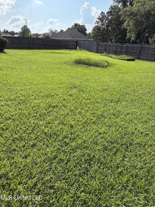 9831 Crooked Creek Blvd, Byram, MS 39272 - view of yard