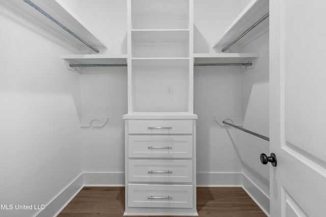 walk in closet featuring wood finished floors