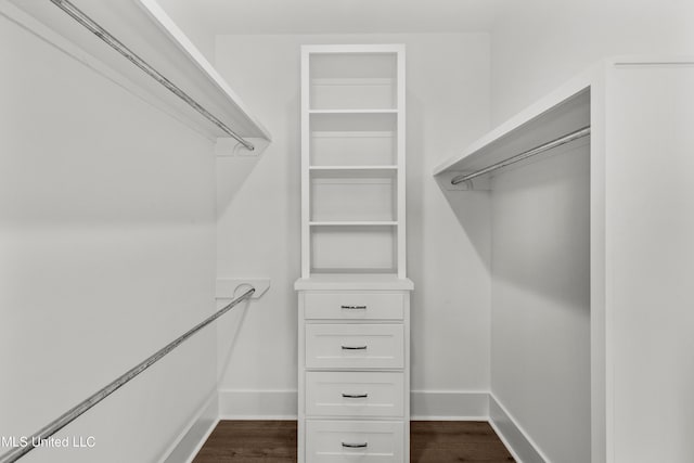 spacious closet featuring dark wood-type flooring