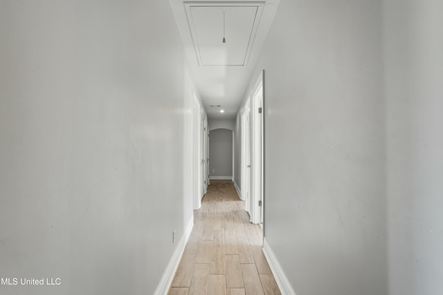 hall with light hardwood / wood-style floors