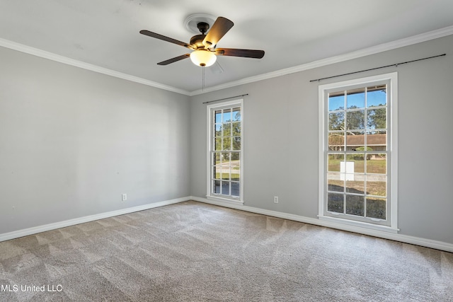 carpeted empty room with a wealth of natural light, crown molding, and ceiling fan