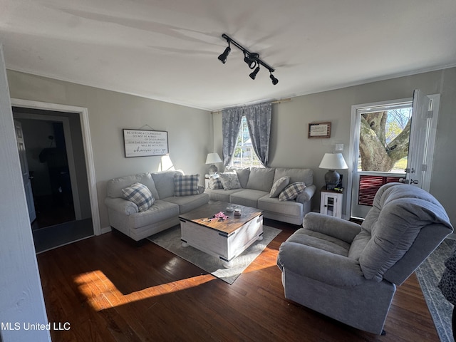 living room with wood finished floors and rail lighting