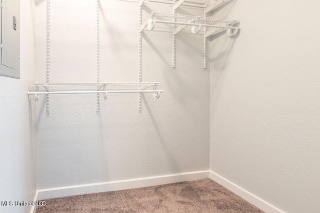 spacious closet with carpet and electric panel