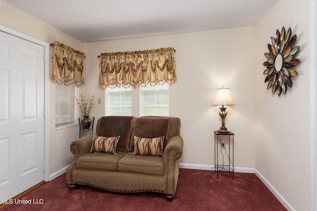 sitting room with carpet and a textured ceiling