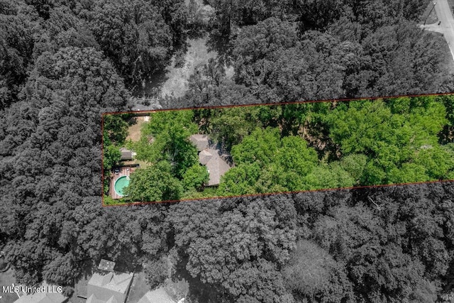 7488 Hickory Estates Dr, Walls, MS 38680 - bird's eye view with a view of trees