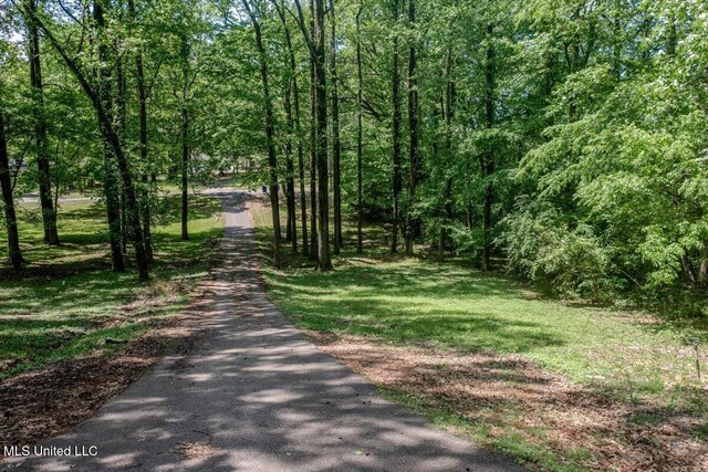 7488 Hickory Estates Dr, Walls, MS 38680 - view of road featuring a view of trees
