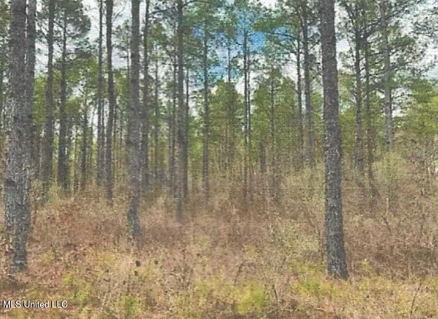 Attala County, Kosciusko, MS 39090