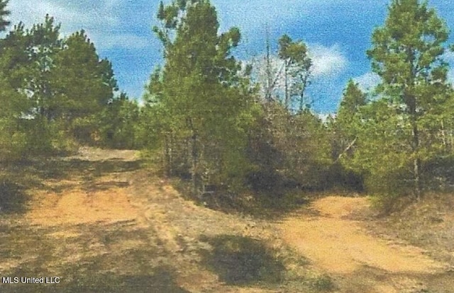 Attala County, Kosciusko, MS 39090