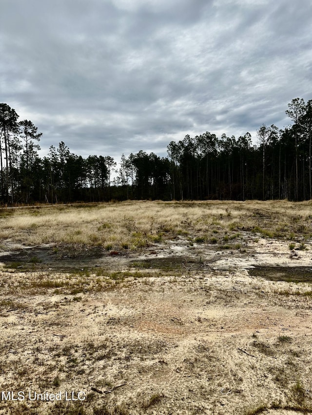 view of local wilderness