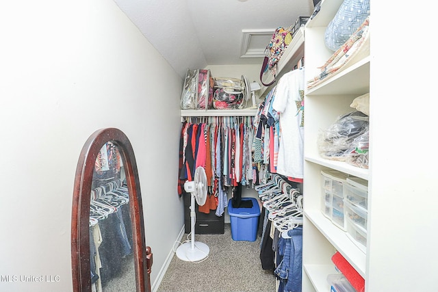 walk in closet featuring carpet and attic access