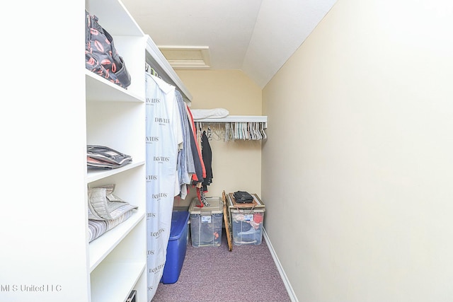 spacious closet featuring vaulted ceiling and carpet flooring