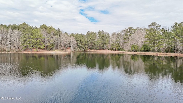 water view with a view of trees