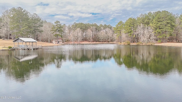 property view of water with a wooded view