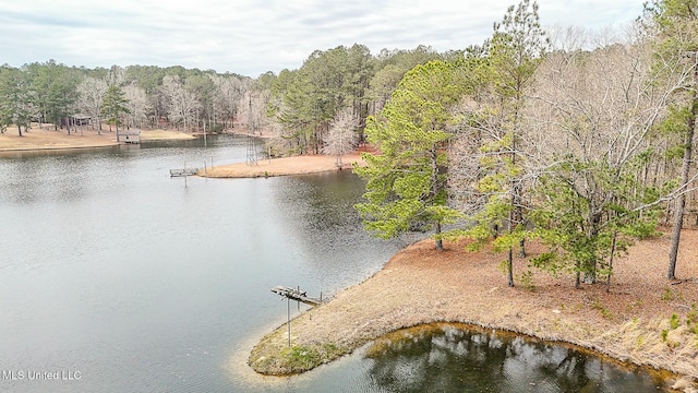 property view of water featuring a forest view