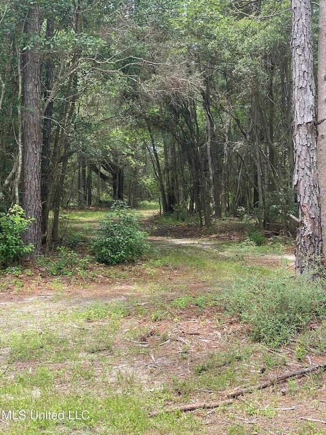 Elmer Jones Rd, Moss Point MS, 39562 land for sale