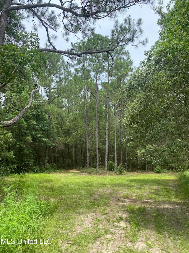 Listing photo 3 for Elmer Jones Rd, Moss Point MS 39562