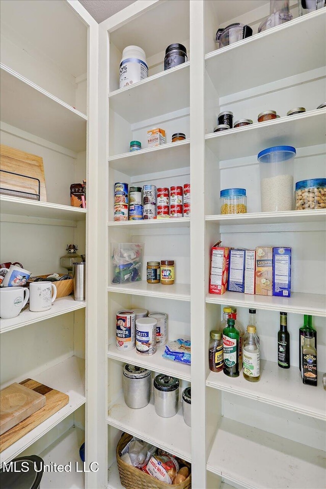 105 Speers Valley Rd, Brandon, MS 39042 - view of pantry