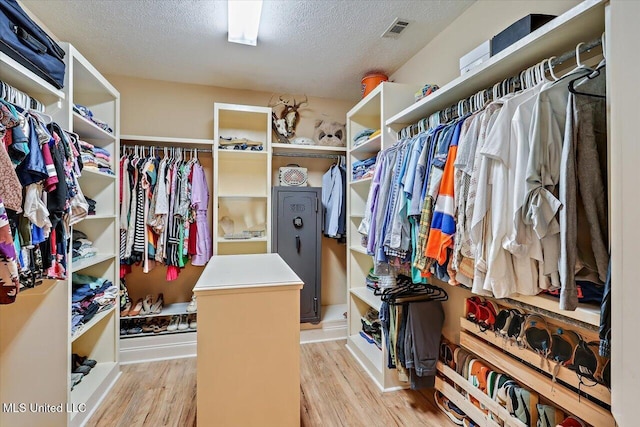 105 Speers Valley Rd, Brandon, MS 39042 - walk in closet with light wood-style floors