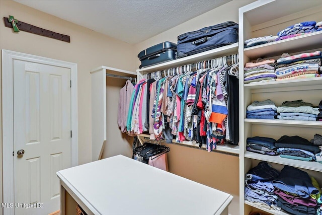 105 Speers Valley Rd, Brandon, MS 39042 - view of walk in closet