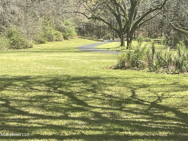 13137 Old Port Gibson Rd, Utica, MS 39175 - surrounding community with a lawn