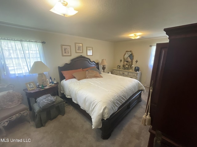 13137 Old Port Gibson Rd, Utica, MS 39175 - carpeted bedroom with multiple windows and ornamental molding