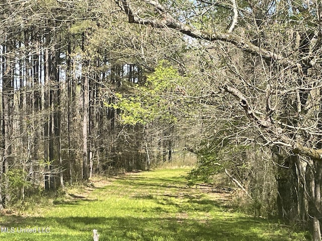 13137 Old Port Gibson Rd, Utica, MS 39175 - view of nature