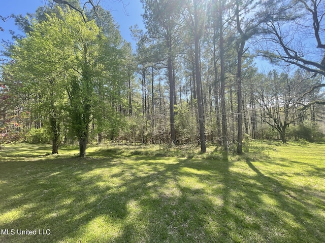 13137 Old Port Gibson Rd, Utica, MS 39175 - view of yard
