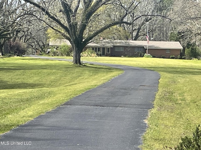 13137 Old Port Gibson Rd, Utica, MS 39175 - view of road featuring aphalt driveway