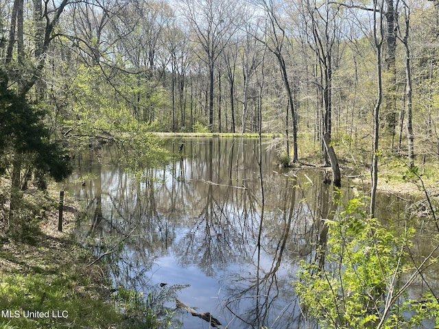 13137 Old Port Gibson Rd, Utica, MS 39175 - water view with a forest view