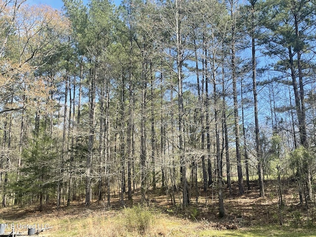 13137 Old Port Gibson Rd, Utica, MS 39175 - view of landscape with a wooded view