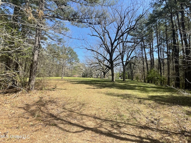 13137 Old Port Gibson Rd, Utica, MS 39175 - view of yard