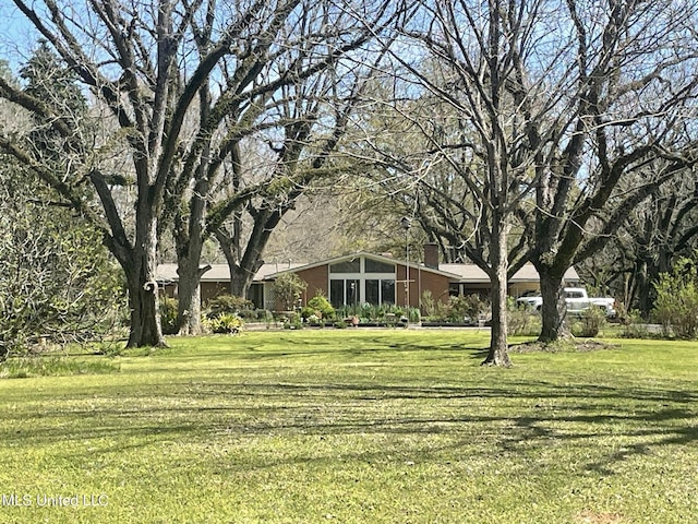 13137 Old Port Gibson Rd, Utica, MS 39175 - view of yard