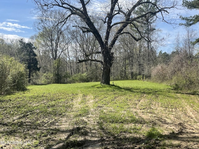 13137 Old Port Gibson Rd, Utica, MS 39175 - view of yard with a forest view