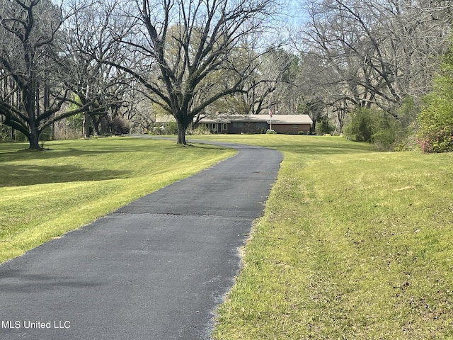 13137 Old Port Gibson Rd, Utica, MS 39175 - view of road with driveway