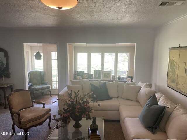13137 Old Port Gibson Rd, Utica, MS 39175 - carpeted living area with a textured ceiling and visible vents