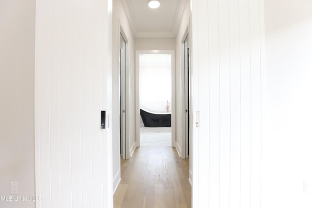 corridor with light hardwood / wood-style floors, ornamental molding, and wooden walls