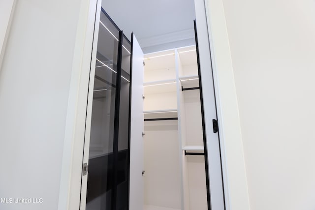 138 Genoa Dr, Madison, MS 39110 - view of spacious closet