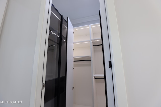 138 Genoa Dr, Madison, MS 39110 - view of walk in closet