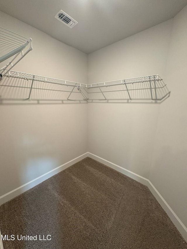 18052 Tiffany Renee Dr, Gulfport, MS 39503 - spacious closet featuring dark carpet