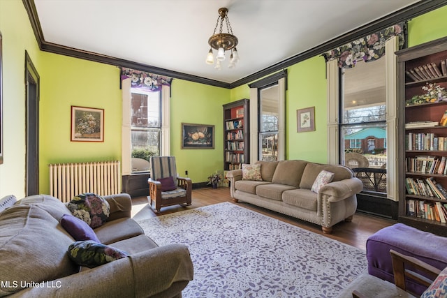 living area with radiator, ornamental molding, a chandelier, and wood finished floors