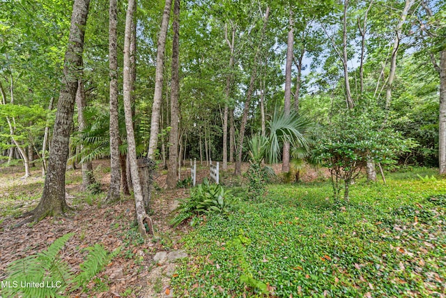 7635 Fairway Dr, Diamondhead, MS 39525 - view of undeveloped land