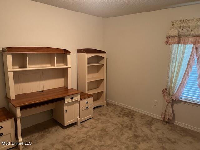 unfurnished office with light carpet and a textured ceiling