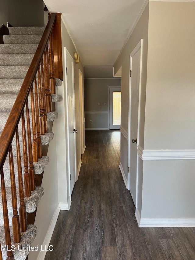 hall with ornamental molding and dark hardwood / wood-style flooring