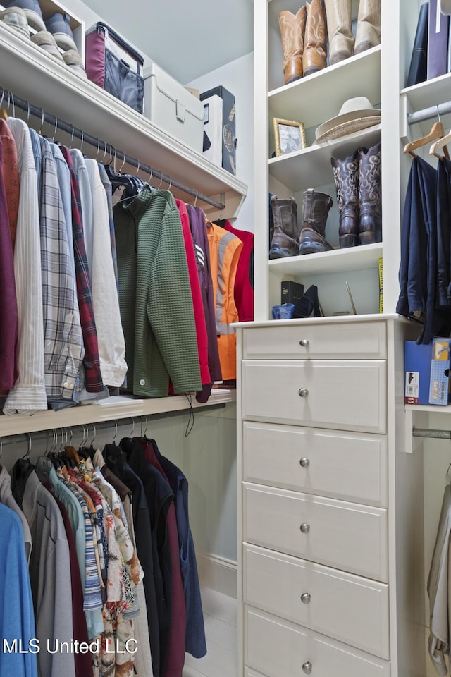 view of walk in closet