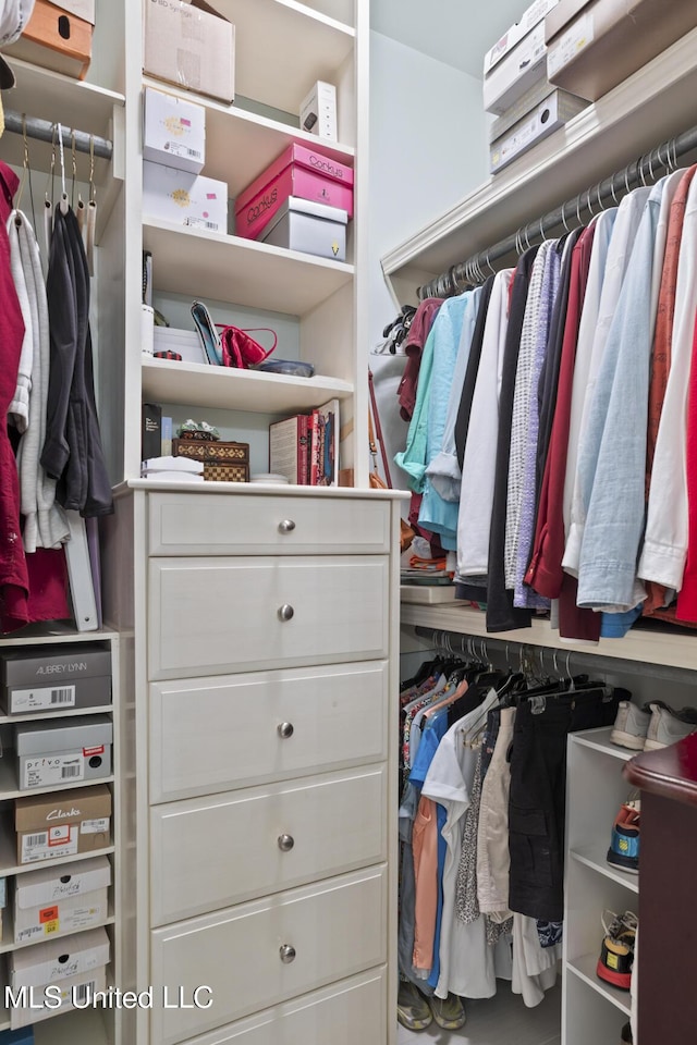 view of spacious closet