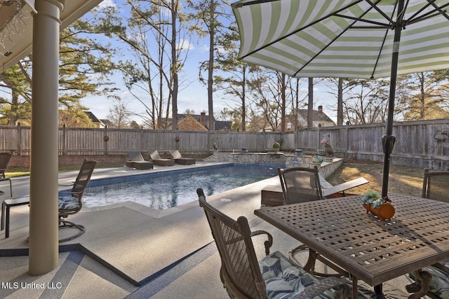 view of swimming pool with a patio