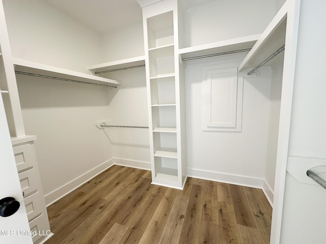 spacious closet featuring wood finished floors